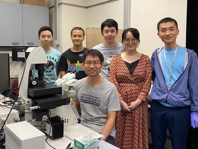 Dr Chaogu Zheng’s research team at the School of Biological Sciences of The University of Hong Kong
